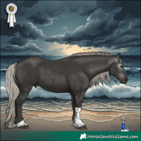 Horse Color:Gray Silver Black Tobiano 