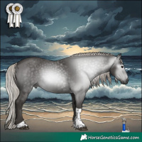 Horse Color:Gray Silver Black Tobiano 