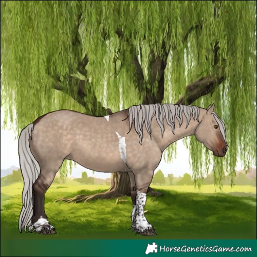 Horse Color:Silver Brown Dun Tobiano 