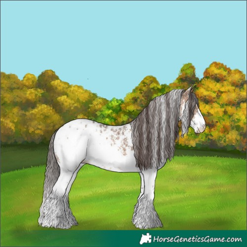 Horse Color:Brown Dun Sabino Blanket 
