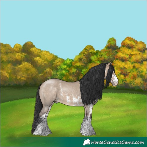 Horse Color:Brown Dun Sabino