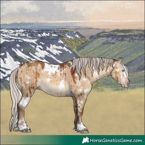 Horse Color:Gray White Spotted Silver Sable Champagne Dun Brindle 