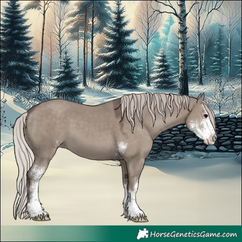 Horse Color:Silver Grullo Sabino 