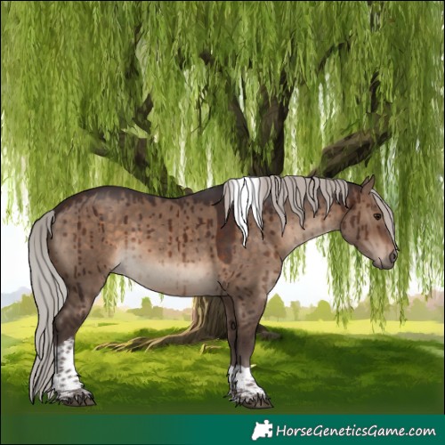 Horse Color:Silver Brown Dun Tobiano Brindle 