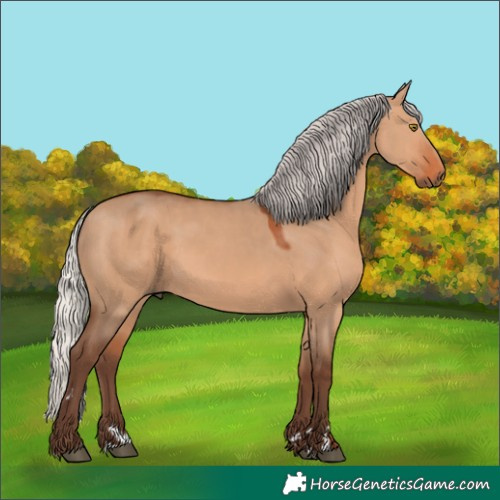 Horse Color:Silver Bay Dun Rabicano 