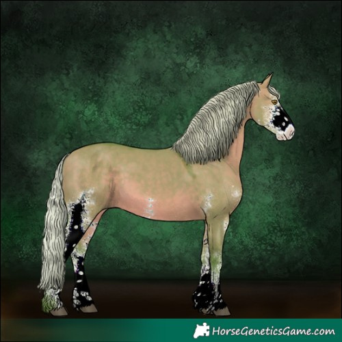 Horse Color:Watercolor Silver Brown Dun Sabino Rabicano 