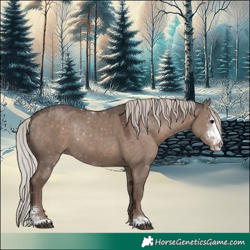 Horse Color:Silver Grullo Sabino 