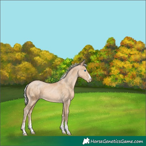 Horse Color:Silver Smoky Black Pearl Merle 
