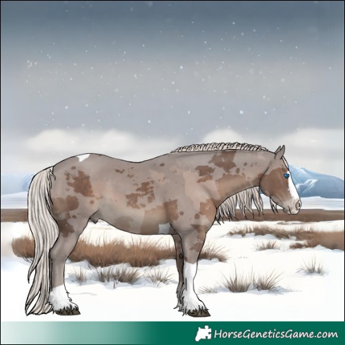 Horse Color:Silver Black Merle Splash Tobiano 