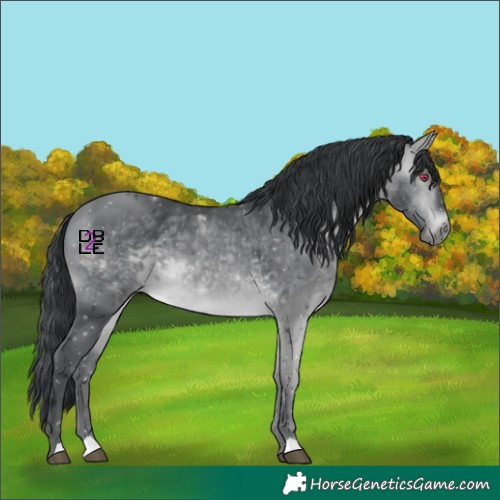Horse Color:Bay Chinchilla 