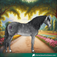 Horse Color:Bay Chinchilla