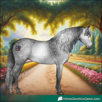 Horse Color:Gray Brown Chinchilla