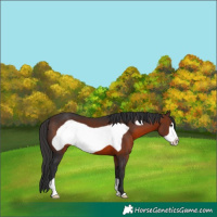 Horse Color:Brown Frame 