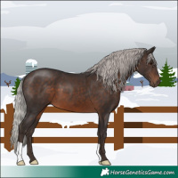 Horse Color:Silver Brown 