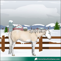 Horse Color:Silver Smoky Grullo Pearl Splash