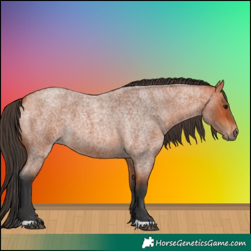 Horse Color:Bay Roan 