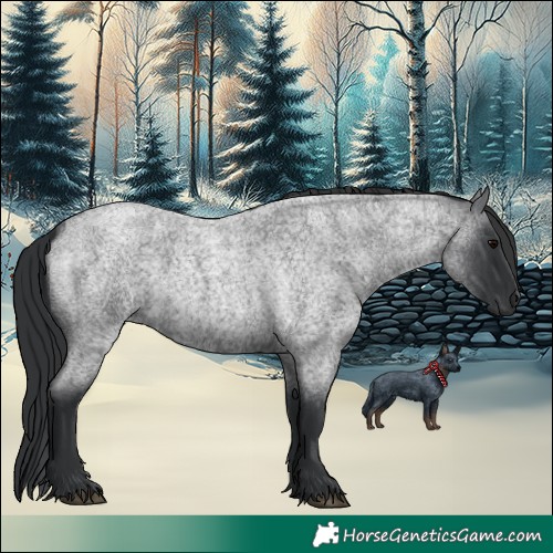 Horse Color:Blue Roan 