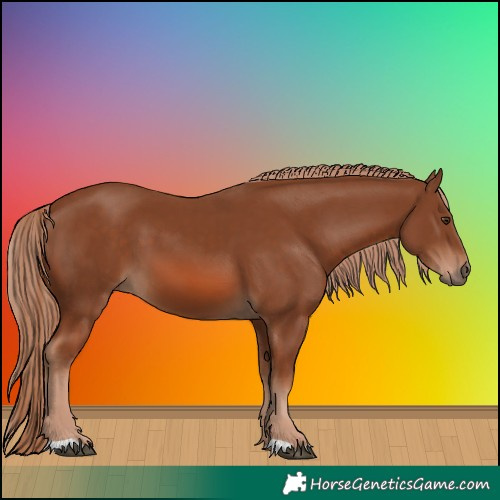 Horse Color:Chestnut 