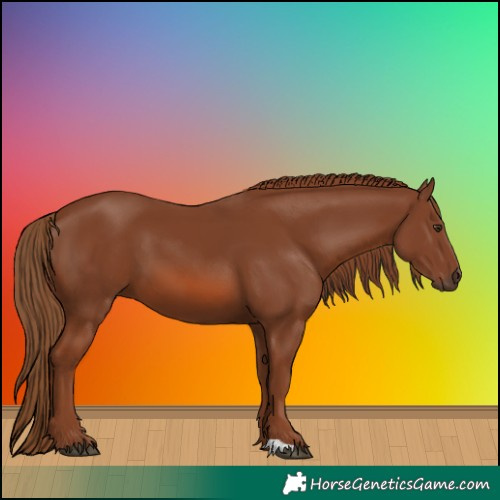 Horse Color:Chestnut 