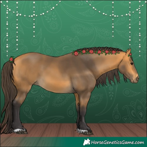 Horse Color:Buckskin 
