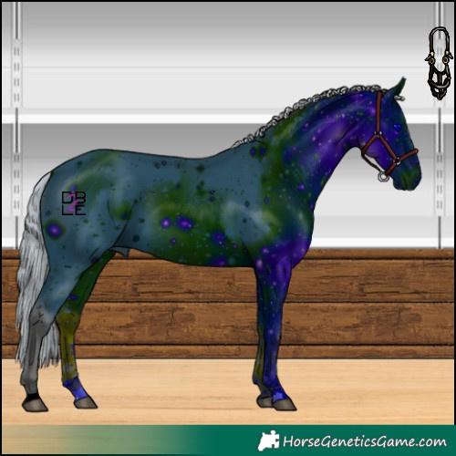 Horse Color:ERROR: UNKNOWN ANOMALY