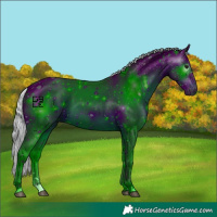 Horse Color:ERROR: UNKNOWN ANOMALY