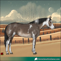 Horse Color:Brown Dun Sabino 
