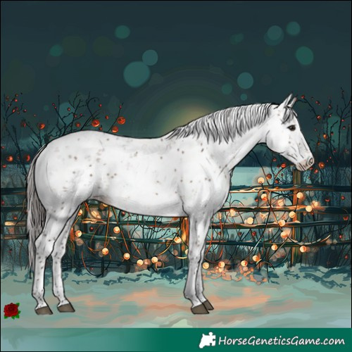 Horse Color:Bay Dun Sabino Rabicano 