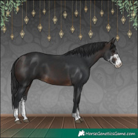 Horse Color:Brown Sabino 