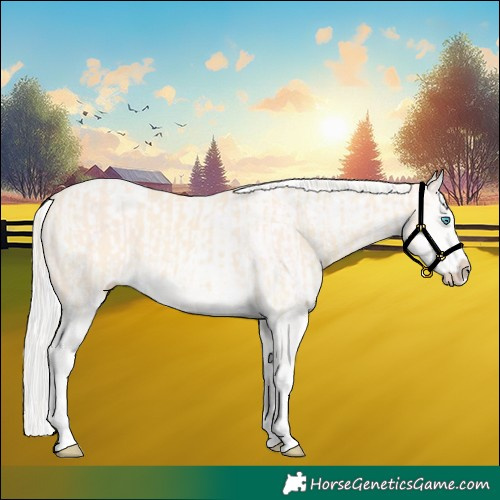 Horse Color:Cremello Splash  and Cremello Splash 