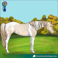 Horse Color:Amber Cream Champagne Tobiano Snowcap Rabicano
