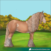 Horse Color:Gold Champagne Pearl Rabicano and Gold Champagne Rabicano