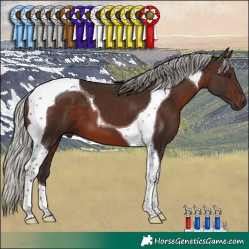Horse Color:Silver Brown Tobiano 