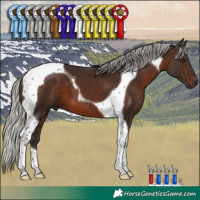 Horse Color:Silver Brown Tobiano 