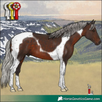 Horse Color:Silver Brown Tobiano 