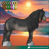 Horse Color:Black 
