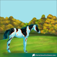 Horse Color:Thunderstruck Liver Chestnut Chinchilla Mushroom Tobiano