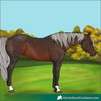 Horse Color:Silver Brown 