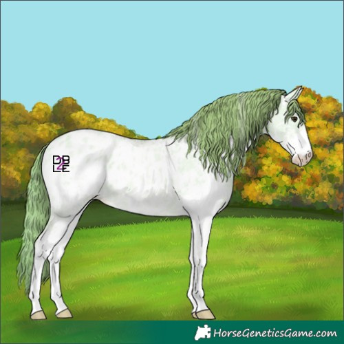 Horse Color:Watercolor Red Dun Ice Sabino Appaloosa 