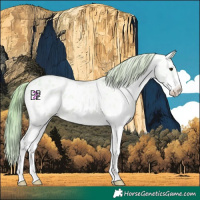 Horse Color:Watercolor Red Dun Ice Sabino Blanket 