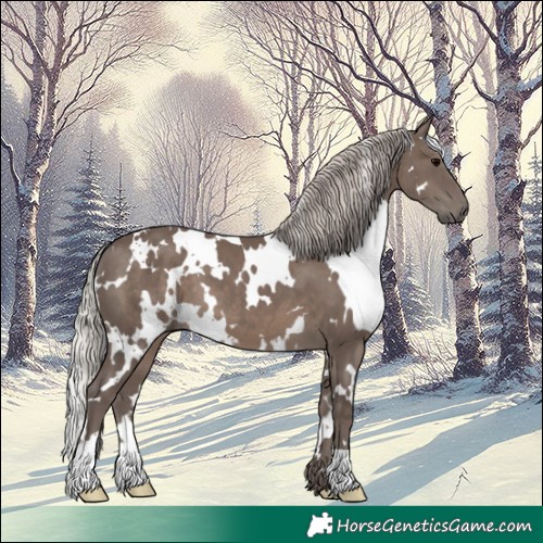 Horse Color:White Spotted Silver Black 