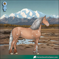 Horse Color:White Spotted Silver Sable Champagne Tobiano