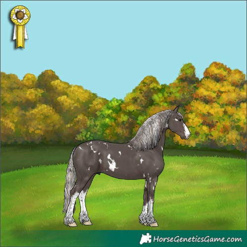 Horse Color:White Spotted Silver Black Mushroom 
