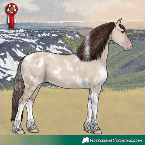 Horse Color:White Spotted Classic Champagne Dun Tobiano 