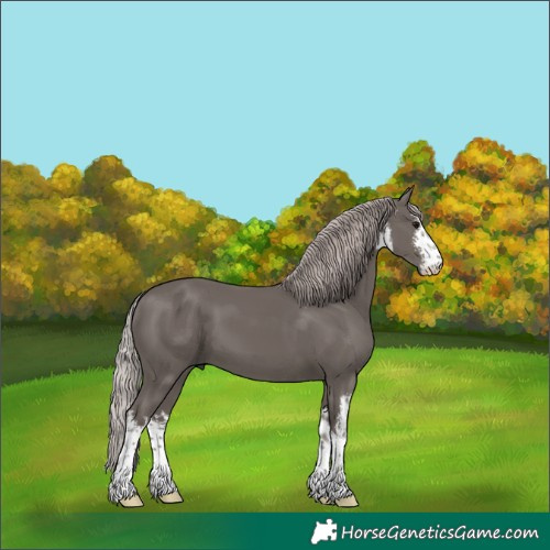 Horse Color:White Spotted Silver Black Mushroom 
