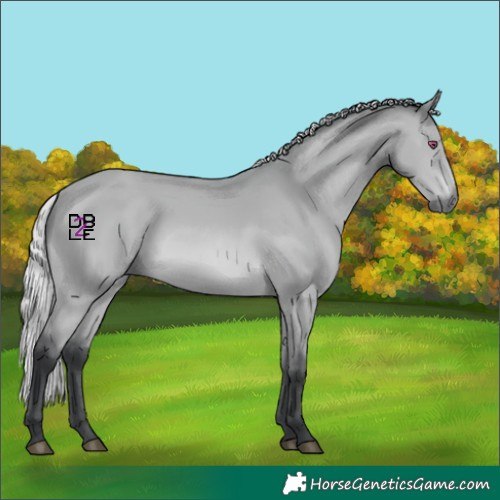Horse Color:Silver Bay Chinchilla 