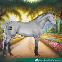 Horse Color:Silver Bay Chinchilla 