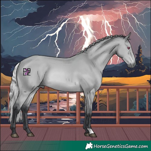 Horse Color:Silver Bay Chinchilla 