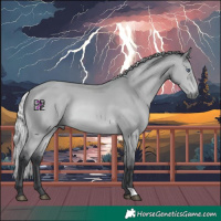 Horse Color:Silver Bay Chinchilla 