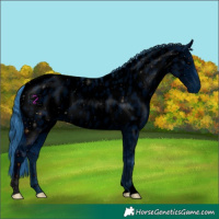 Horse Color:ERROR: UNKNOWN ANOMALY